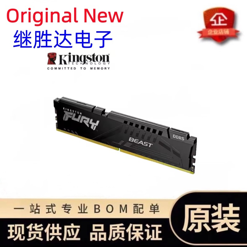 Kingston FURY Beast DDR5 Speic – Ddr5 16Gb 6000Mhz Bewertung und Preis