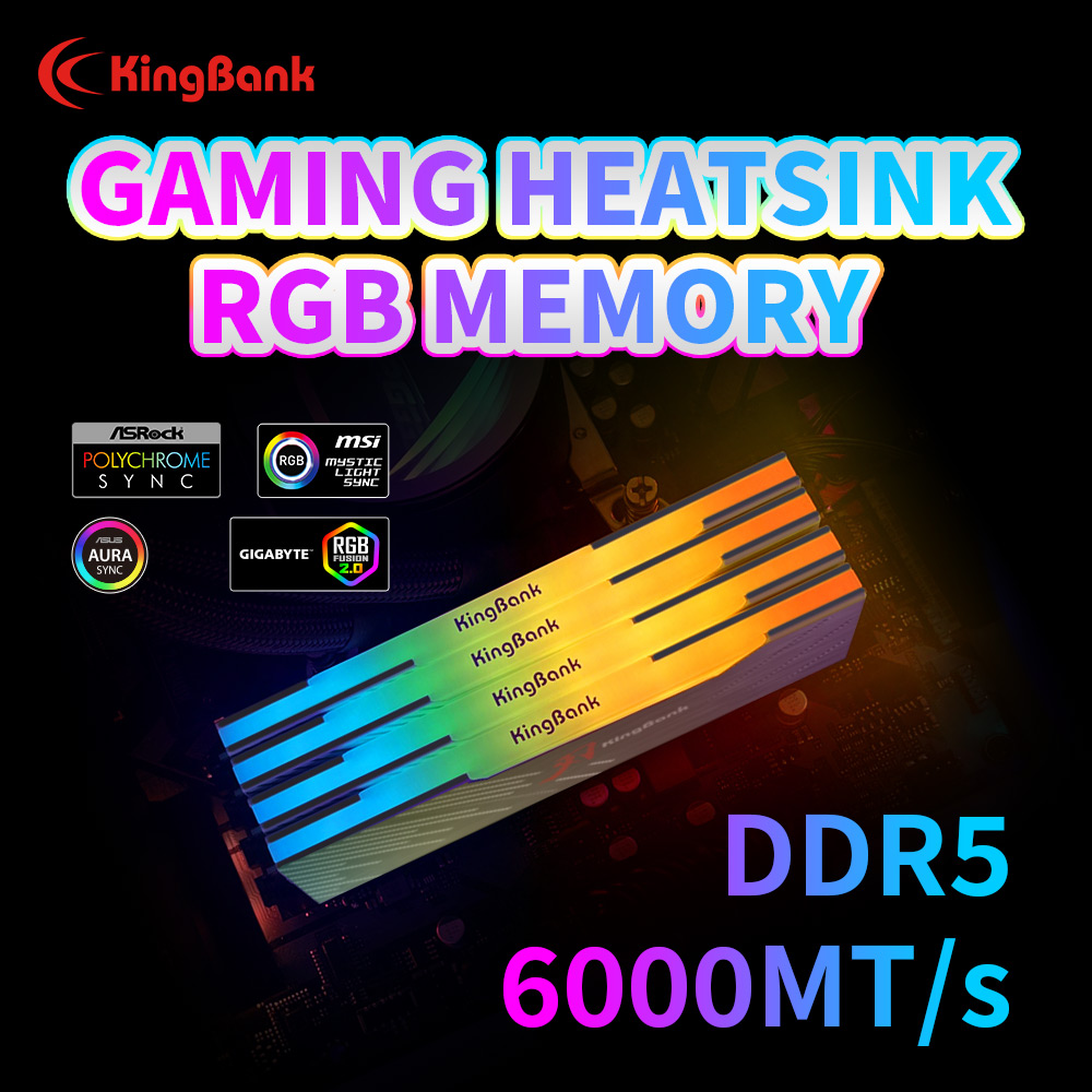 KingBank KRRB DDR5 RGB SoarBla – Ddr5 8Gb Bewertung und Preis